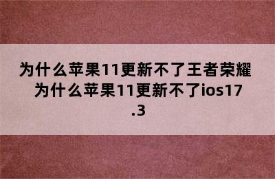 为什么苹果11更新不了王者荣耀 为什么苹果11更新不了ios17.3